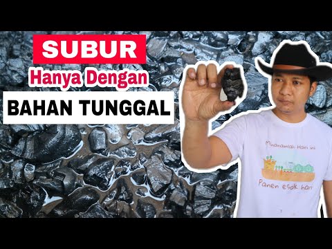 Video: Pupuk Abu Kayu - Haruskah Saya Menaruh Abu di Kebun Saya