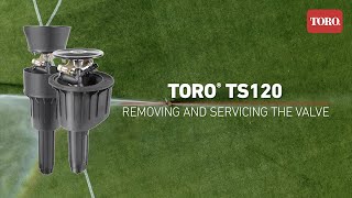 Toro TS120 - Removing and Servicing the Valve