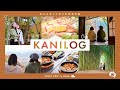 KANILOG|秋の山城と可児の紅葉満喫編|岐阜VLOG|可児市公式 山城PR動画