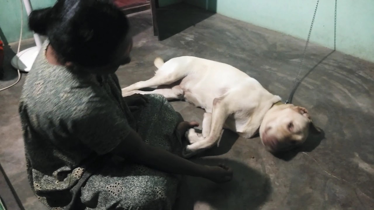 Lab kerala... 😁😁 YouTube