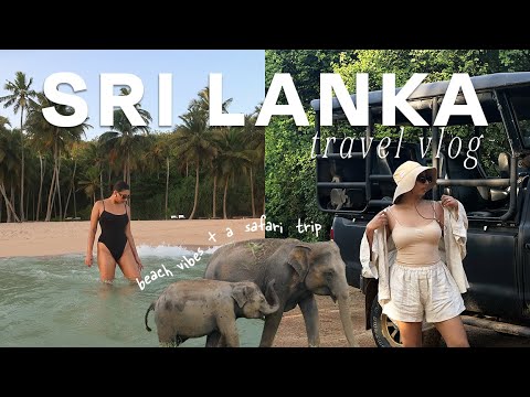 Video: Hvor hen til Safari i Sri Lanka