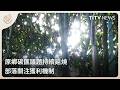 原鄉碳匯議題持續延燒 部落關注獲利機制｜每日熱點新聞｜原住民族電視台