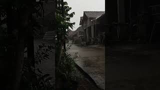 Yudz Saka Live Village Rain Sounds For Deep Sleep, Study & Relax