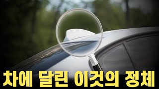 자동차에 달린 이 지느러미의 정체는? 작지만 꼭 필요한 샤크핀 안테나!