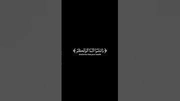اكتب شيء تؤجر عليه 😊🤍القرآن الكريم شاشة سوداء