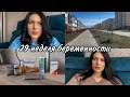 29 НЕДЕЛЯ БЕРЕМЕННОСТИ|УЗИ|ДАВЛЕНИЕ|СМАД