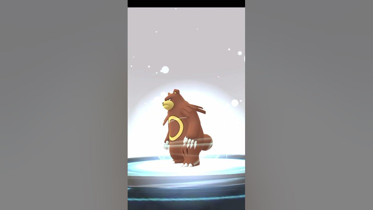 ポケモンgo Pokemon ヒメグマ リングマ ガチグマ 進化 満月 Shorts Youtube ポケモンgo Pokemon ヒメグマ リングマ ガチグマ 進化 満月 Shorts Youtube