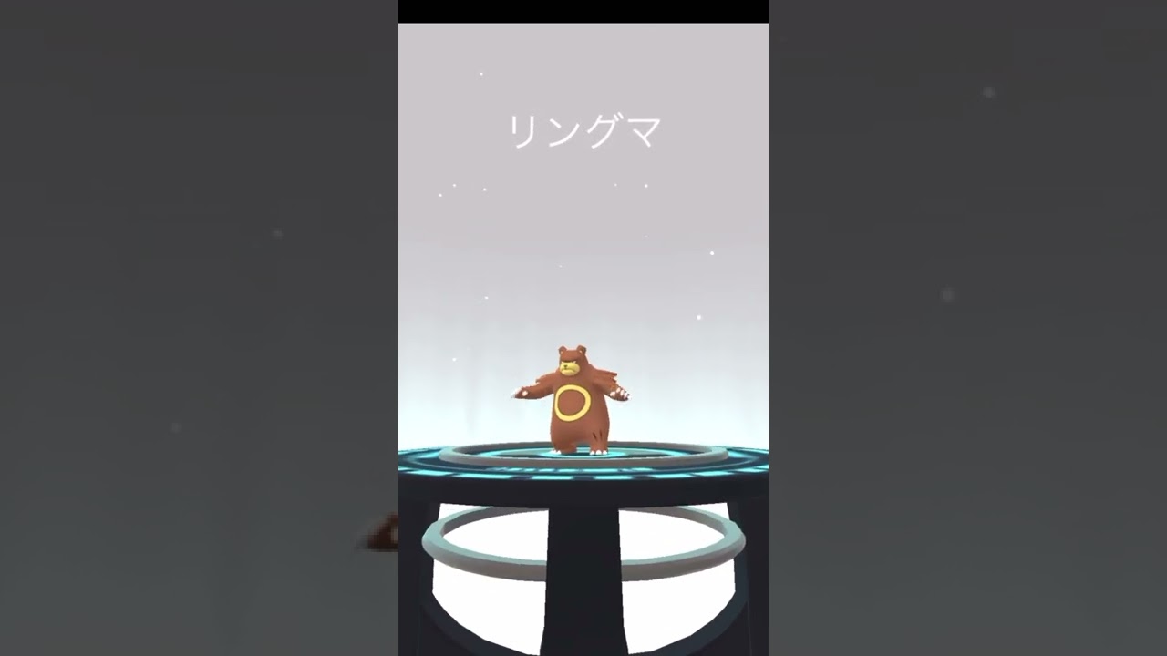 ポケモンgo Pokemon ヒメグマ リングマ ガチグマ 進化 満月 Shorts Youtube ポケモンgo Pokemon ヒメグマ リングマ ガチグマ 進化 満月 Shorts Youtube