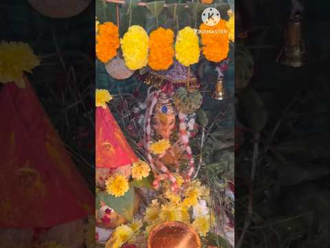 Happy Vinayaka Chavithi #shorts #shortvideo #trendingshorts #viralvideo #minivlog #youtubeshorts