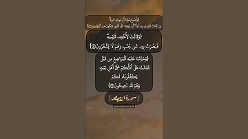 سورة القصص الآية ١١ الى ١٣ بصوت الشيخ محمد صديق المنشاوي