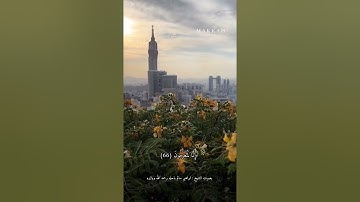 ما تيسر من سوره الواقعة بصوت الشيخ : ابراهيم سالم باحله رحمه الله ووالده