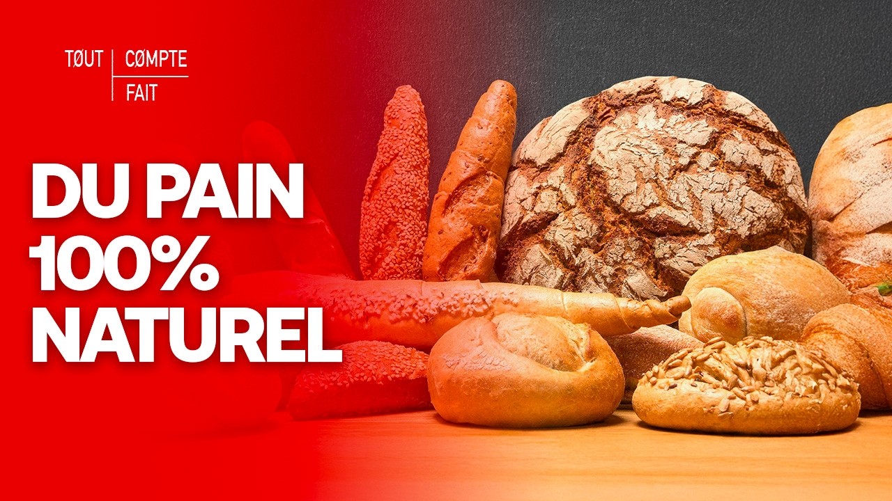 La VÉRITÉ du pain 100 % naturel - Tout Compte Fait