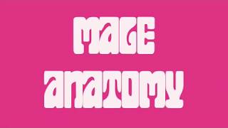 Episode 4: Male Anatomy