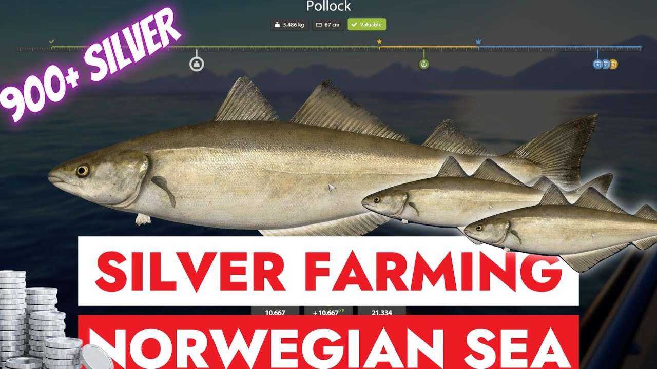 RUSSIAN FISHING 4 - RF4 - SILVER FARMING - NORWEGIAN SEA - POLLOCK FARMING