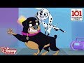 🕺Disco Pups | 101 Dalmatian Street | Disney Channel Africa