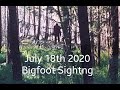 Bigfoot Sighting Oregon July 18th 2020 Mt Hood, Rocks Thrown &amp; Tracks found!  42min Horse Trail ride