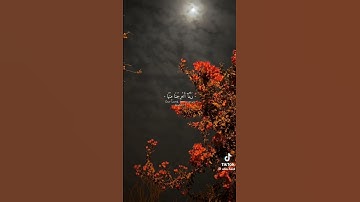 #القران الكريم بصوت جميل #اكسبلور #يارب #راحة_نفسية #flowers #لايك