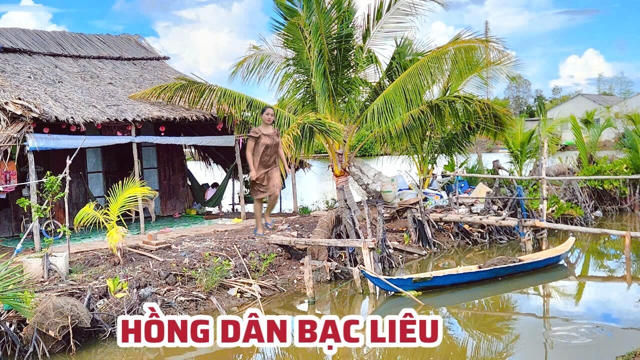 Bất Ngờ Vùng Quê Chỉ Thấy Trồng Lúa, Nhà Cửa Thưa Thớt Vắng Bóng Người Tại Xã Hồng Dân Bạc Liêu 2026