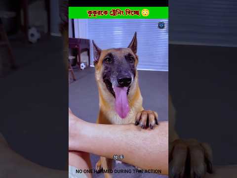Training a dog 😳