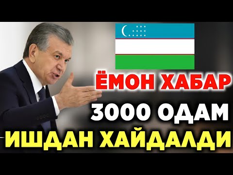 Видео: Даршилсан долгион: хялбархан бэлтгэхэд зориулж зурагтай жор