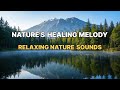 자연의 소리 Relaxing Nature Sounds for a calm Mind &amp; Healing Soul. #relaxing #healing  #relaxingtravel