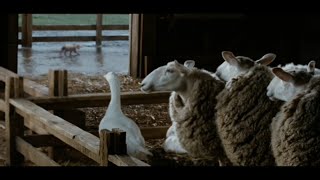 Charlotte's Web (2006) - meeting the barn animals