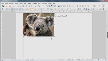 LibreOffice Writer - Insérer deux images côte à côte