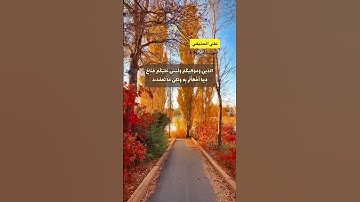 سورة الاحزاب الايه 5-6