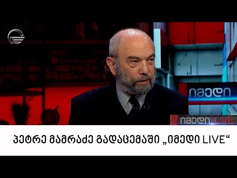 „მართვის სტრატეგიული ინსტიტუტის“ ხელმძღვანელი პეტრე მამრაძე გადაცემაში „იმედი LIVE“