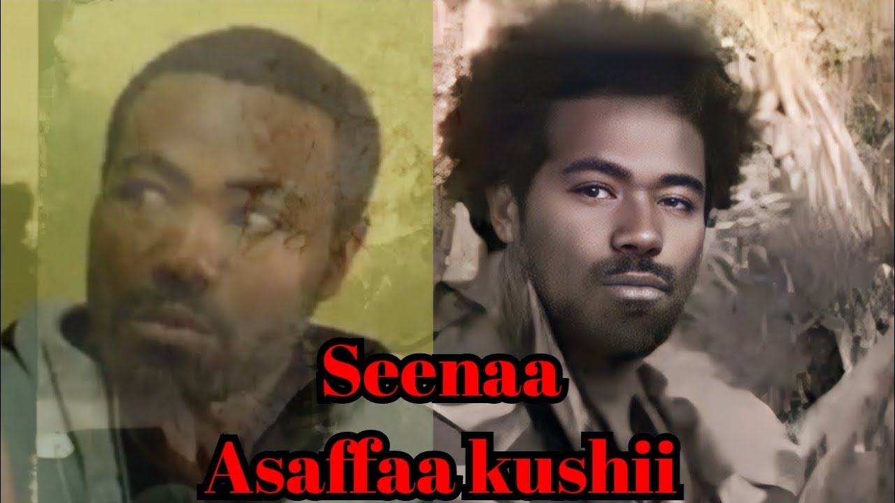 Asaffaa Kushii goota_salaalee gumaa abbaa baafate
