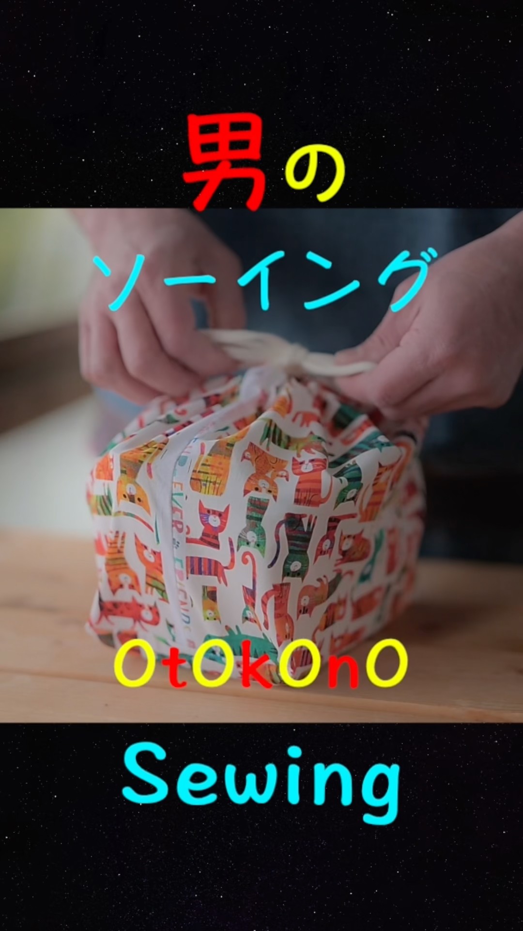 Cute cat pattern! Lunch bag made from a single piece of fabric