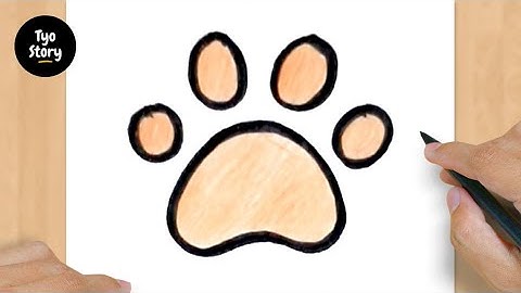 #239 How to Draw a Cat