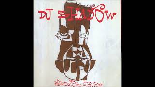 DJ SHADOW – PREEMPTIVE STRIKE (1997) | Full Album