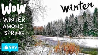 ТИШИНА / РЕЛАКС / ВОСПОМИНАНИЯ О РАННЕЙ ЗИМЕ 2017/ WINTER AMONG SPRING / RELAX /SILENCE