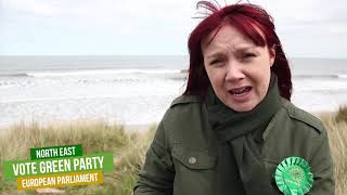 North East Green Party: MEP Elections 2019 - Druridge Open Cast Mine