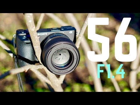 Sigma 56mm F1.4 Lens Review: It's Perfect.