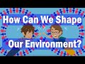 How Can We Shape Our Environment? | Introduction to Kabbalah | Lesson 11