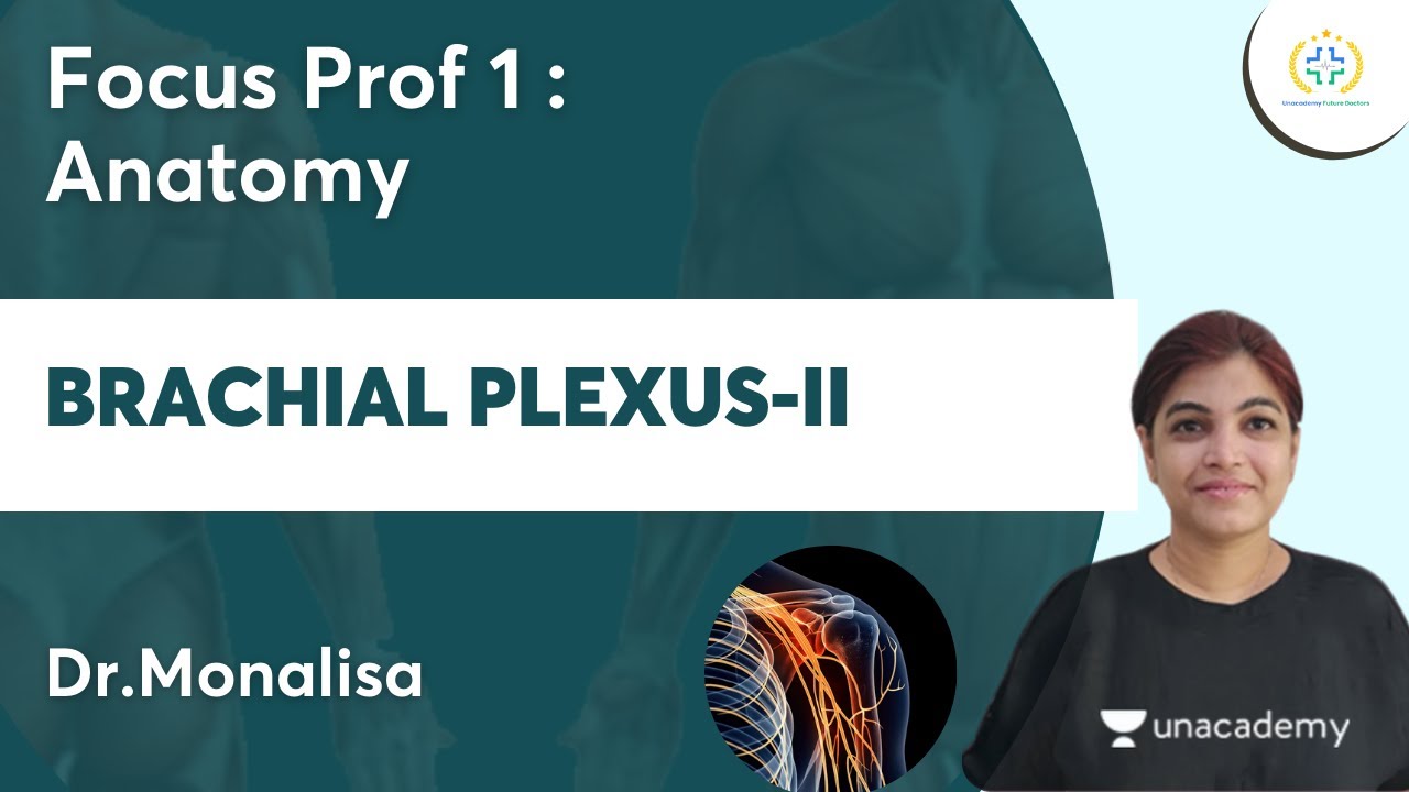 Brachial Plexus-II | Focus Prof 1 : Anatomy | Unacademy Future Doctors l Dr.Monalisa