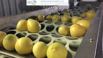 grapefruit sortingmachine，grading，washing