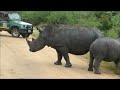20 Wild Animals - Animal Sounds for Kids to Learn