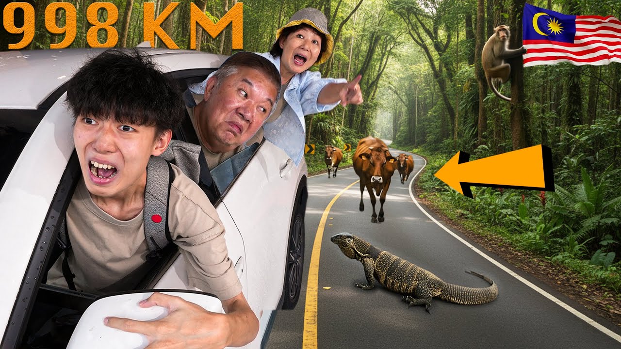 我和爸妈开了998公里的车，结果意外还是发生了...【Roadtrip 公路旅行】