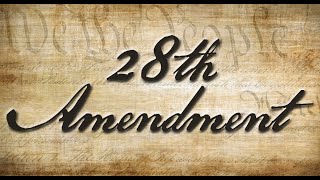 Timmy Talks About the 28th Amendment (Burning The Flag)