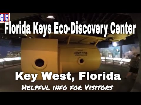 Vídeo: Guía Verde De Key West - Matador Network