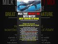 Scientists Shocked by Whale Milk – SubhanAllah!