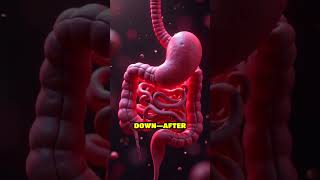 Invisible Killers: Clostridium difficile Unveiled