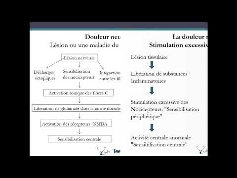 Vidéo: L'interprétation Du Score De Changement De L'indice D'incapacité De La Douleur Après La Réadaptation Professionnelle Dépend De La Base