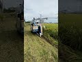 イセキコンバインHVA214は2条刈り！ズームオーガ便利すぎ #shorts