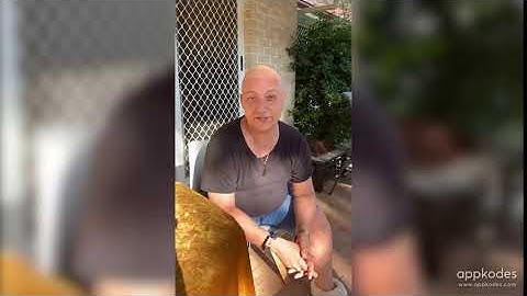 Customer satisfaction is our top priority! - Appkodes