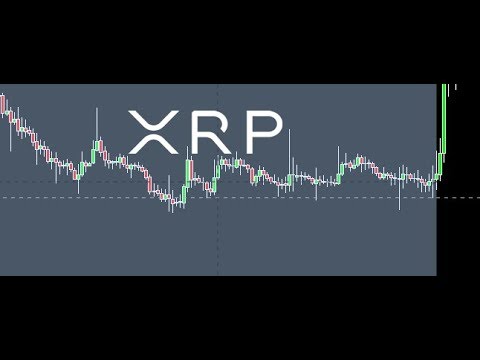 moneygram-using-ripple-'s-xvia-and-history-shows-parabolic-xrp-moves-require-long-bears