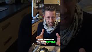 Osmosi Inversa  Cosa Devi Sapere